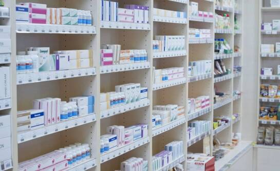 Szynszyle hodowla czy się opłaca?