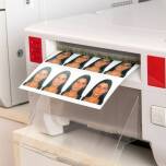 Czy za paszport można zapłacić w urzędzie?