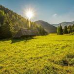 Atrakcje dla dzieci w Zakopanem – co warto zobaczyć?