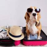 Jak bezpiecznie spędzać wakacje