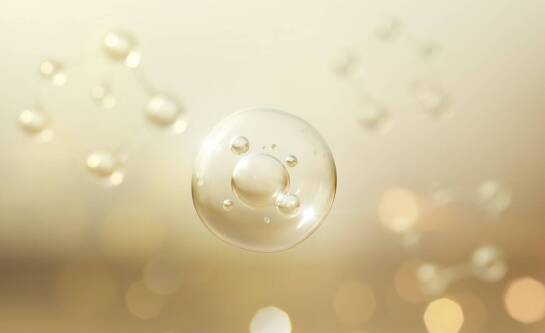 Ile procent białka znajduje się w organizmie człowieka?