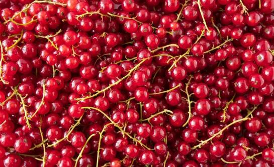 Jak liczyć kalorie w jedzeniu?