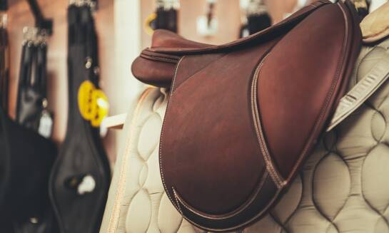 Obozy jeździeckie w malowniczym otoczeniu przyrody – wyjątkowe doświadczenie dla każdego miłośnika koni