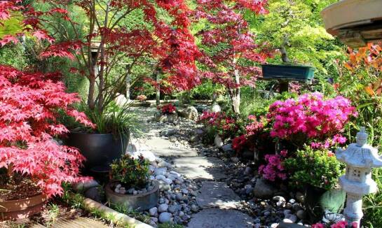 Ogród japoński w Karpaczu – miejsce, które musisz odwiedzić podczas pobytu w górach