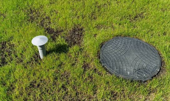 Jak projektowane są poidła, aby spełniały potrzeby gołębi?