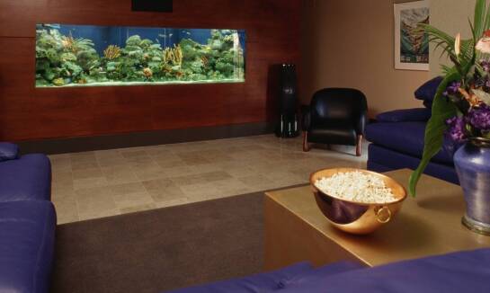 Akwaria na wymiar dla dzieci – jak zadbać o bezpieczeństwo najmłodszych?