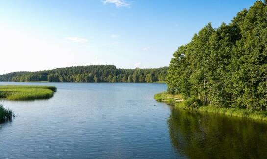 Jak zorganizować idealną Zieloną Szkołę na Mazurach w ciągu 3 dni?