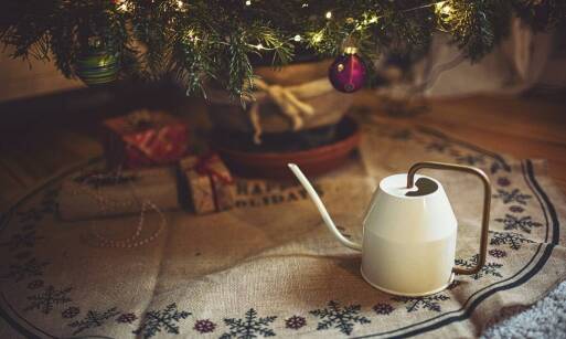 Jakie akcesoria ogrodnicze są niezastąpione podczas zimowej pielęgnacji roślin?