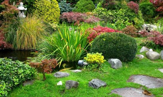 Kompleksowe projektowanie ogrodów: jak firma ogrodnicza spełnia oczekiwania mieszkańców Kępna?