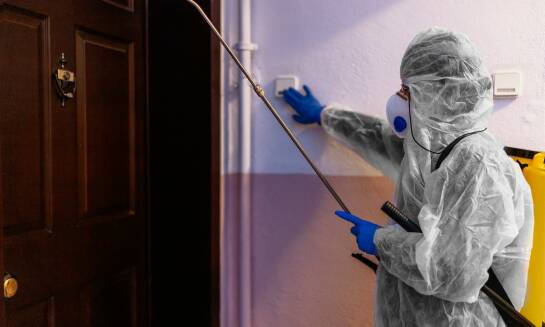 Dlaczego dezynsekcja jest kluczowa dla zdrowia w budynkach mieszkalnych?