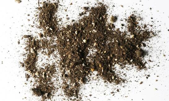 Podłoża organiczne – jak wpływają na rozwój roślin?