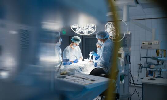 Chirurgia weterynaryjna: jak minimalizujemy ryzyko powikłań pooperacyjnych?