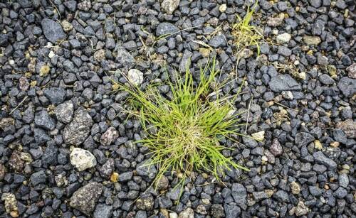 Asfalt na zimno: jakie są jego główne zastosowania w utrzymaniu dróg lokalnych?