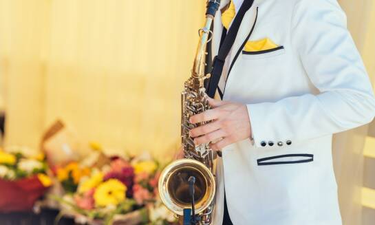 Muzyka na wesele – Village Of Sound