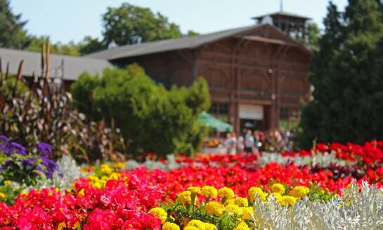 Atrakcje turystyczne w Polsce w ofercie biura podróży z Sulechowa