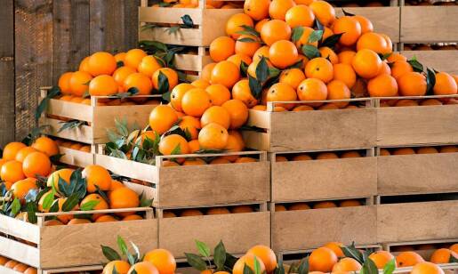 Jak zastosowanie skrzynek do owoców wpływa na jakość produktów?