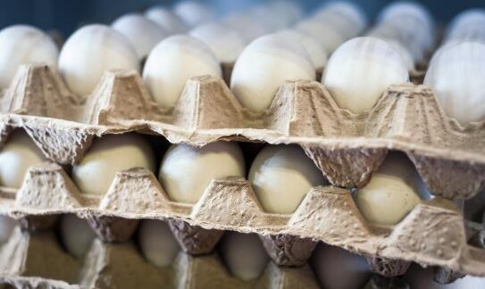 Zwiększanie efektywności sprzedaży dzięki automatom do jajek