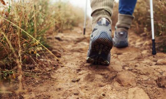 Jakie letnie męskie buty trekkingowe wybrać na górskie szlaki?