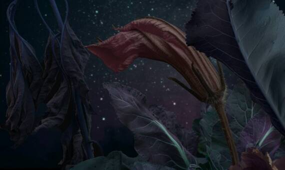 Rola poklatkowej animacji w literaturze dla dzieci