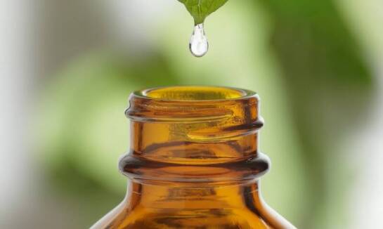 Naturalne mazidło żywokostowe – remedium na obrzęki i stłuczenia.