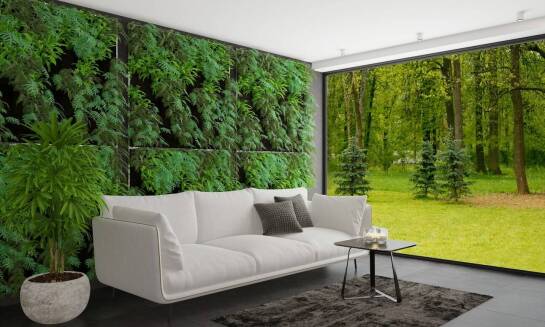 Dekoracyjne możliwości chrobotka mchu w przestrzeniach komercyjnych