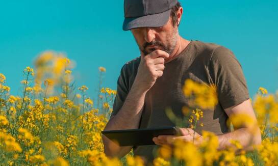 Ubezpieczenia rolne: Jakie ryzyka można objąć ochroną?