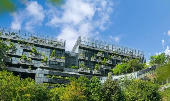 Wpływ lokalnego klimatu na wybór gatunków krzewów do miejskich nasadzeń