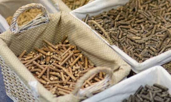 Nowoczesne paszowe dodatki dla bydła – co oferuje rynek?