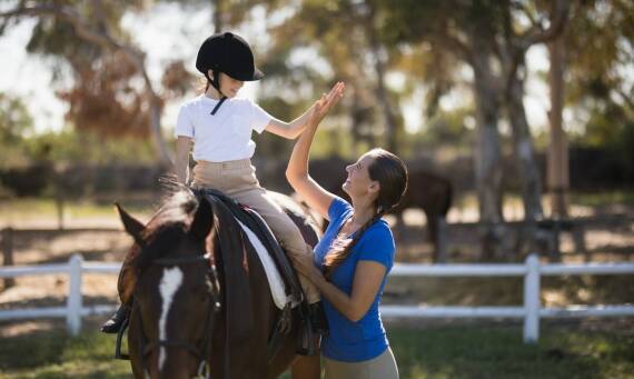Przyjazne lonżowanie: Zasady budowania relacji na zaufaniu opartej
