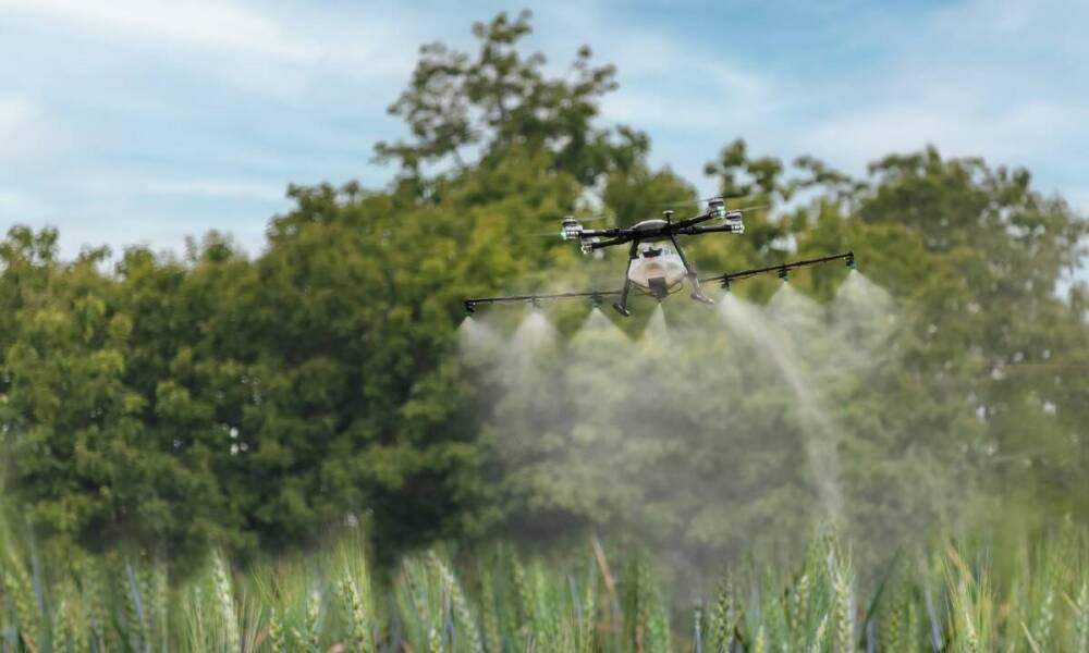 Przyszłość rolnictwa: Diagnostyka stanu upraw za pomocą drona jako klucz do zrównoważonego rozwoju