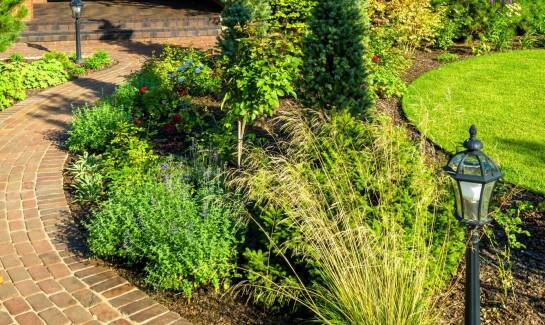 Jak specjaliści optymalizują zużycie wody w procesie pielęgnacji ogrodu?