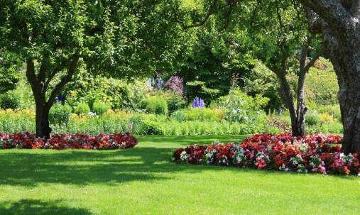 Jakie są korzyści z wyboru odpornego na deptanie trawnika rolowanego?