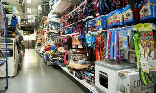 Bezpieczeństwo i komfort w hotelu dla psów: jak infrastruktura wpływa na dobrostan tych zwierząt?