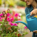 Zakładanie systemów nawadniających na tarasach: co warto wiedzieć?