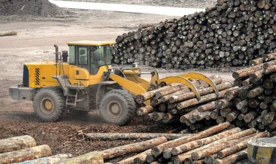 Ekonomiczne korzyści z skupu trocin dla transportowych przedsiębiorstw