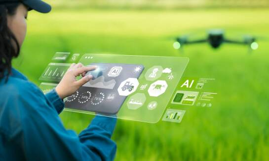 Znaczenie terminowości w rolniczych usługach dla efektywności prac