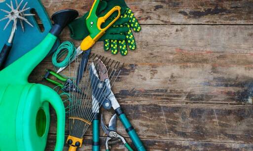 Jakie narzędzia są wykorzystywane przez profesjonalistów do koszenia trawników?