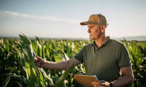Profesjonalne doradztwo w zakresie roślinnego nawożenia