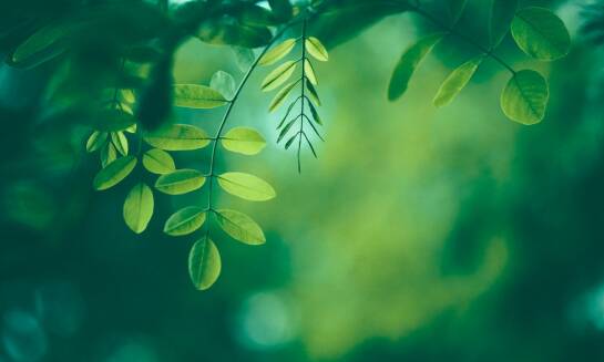 Damskie spodnie rowerowe a ekologia – jakie materiały są przyjazne dla środowiska?