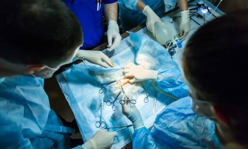 Jakie są najczęstsze powikłania po operacjach neurologicznych u zwierząt?