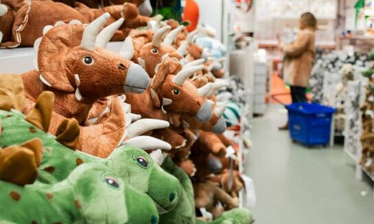 Różnorodność akcesoriów dla gadów w zoologicznym sklepie