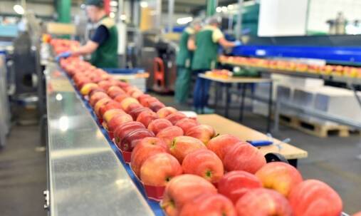 Znaczenie szybkiej realizacji zamówień w hurtowni spożywczej internetowej