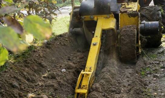 Frezowanie pni drzew jako część zrównoważonego zarządzania miejską zielenią