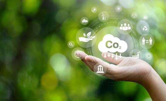 GTU 11 – dla kogo jest przeznaczony?