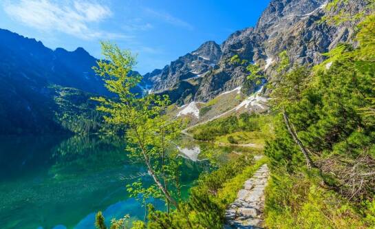Ile kosztuje dorożka na Morskie Oko?
