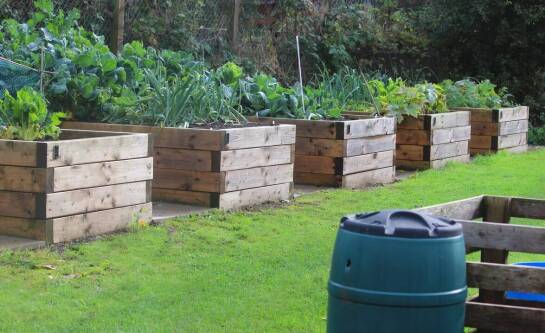 Jak zrobić ładny ogródek warzywny