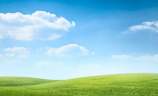 Czy nawóz do trawy może być szkodliwy dla ludzi i zwierząt?