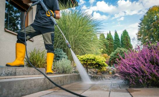 Kiedy wysiewać nasiona kwiatów?