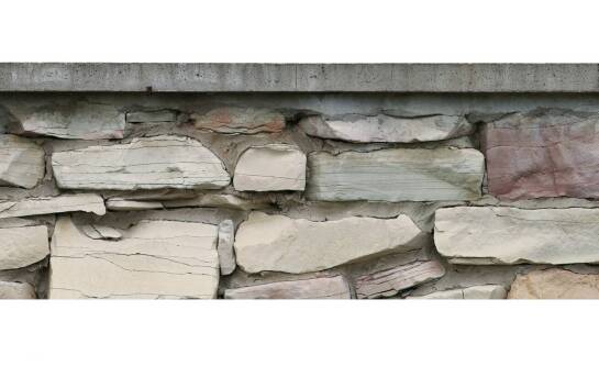 Jak usunąć wykwity na ogrodzeniu?