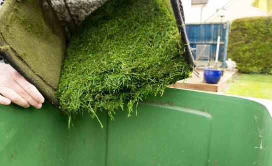 Czy trawa zalicza się do odpadów bio?